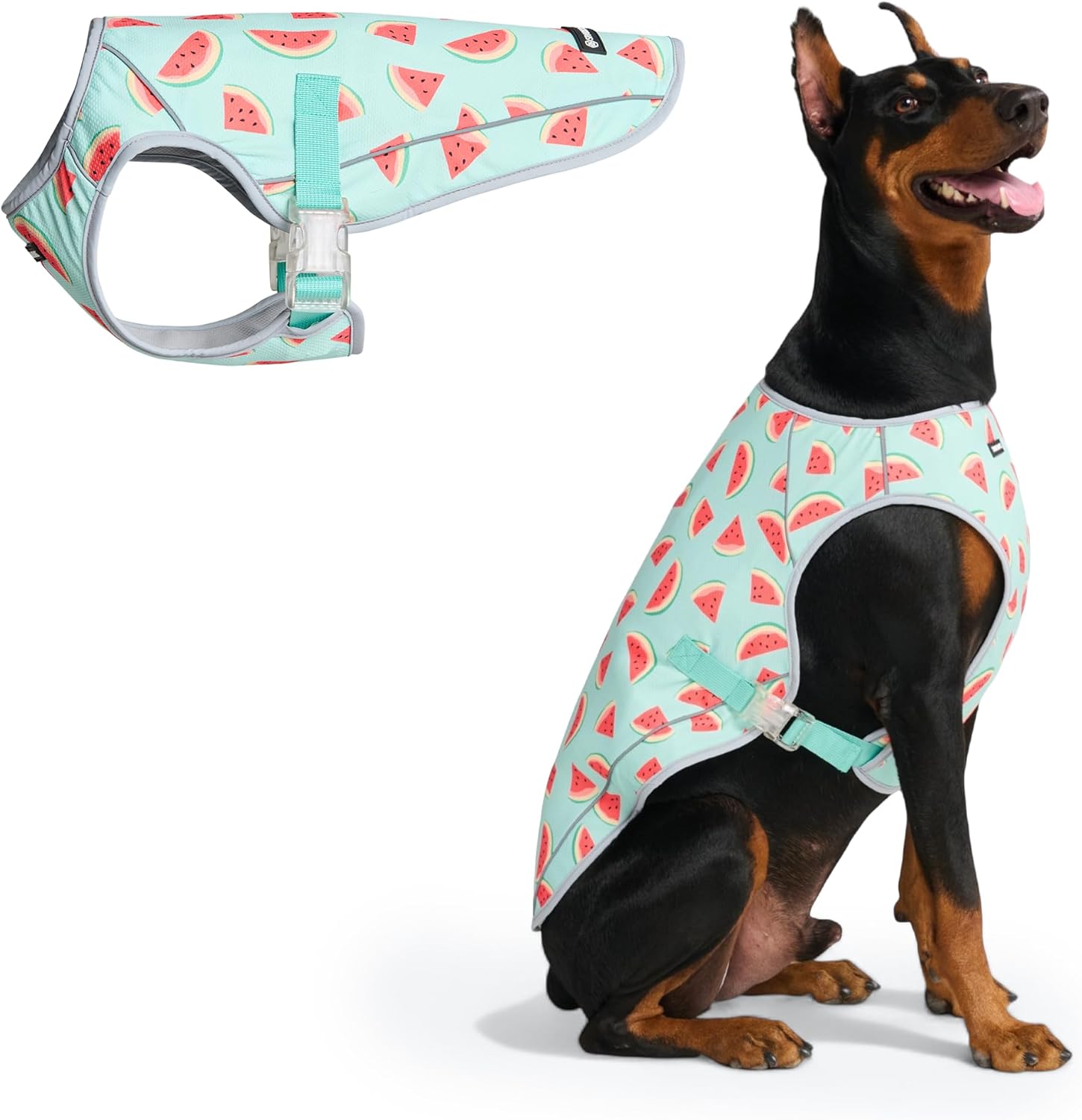 🐶❄️ Cooling Vest For Dogs