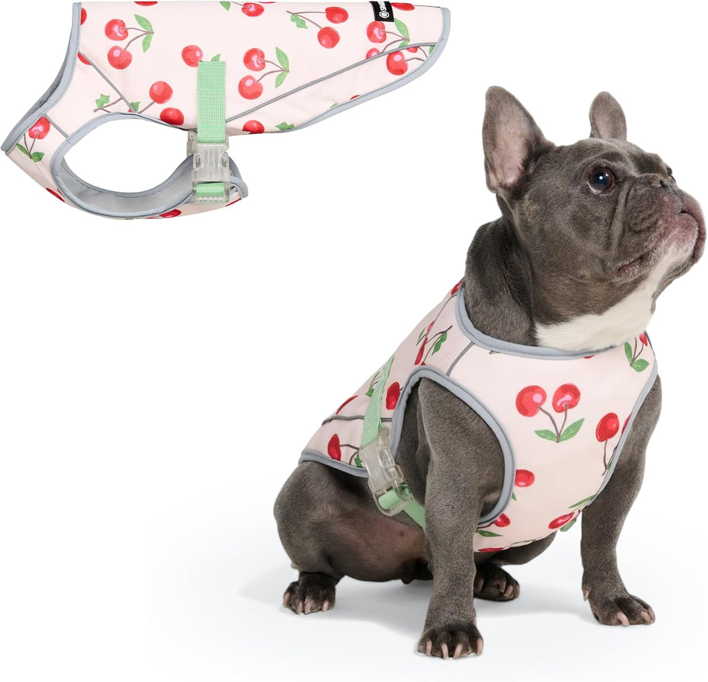 🐶❄️ Cooling Vest For Dogs
